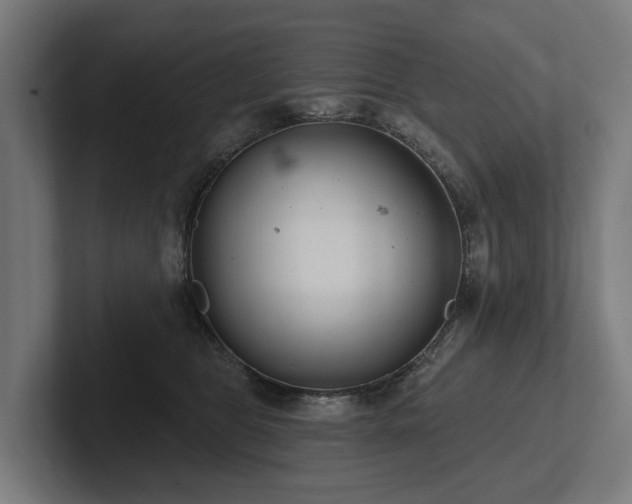 X0000102360469200808011456