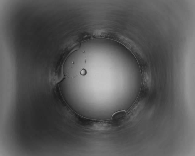 X0000102360470200808011456