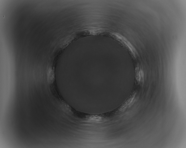 X0000102360471200808011456
