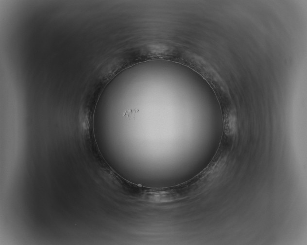 X0000102360472200808011456