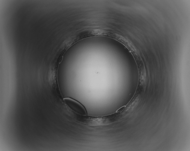 X0000102360473200808011456