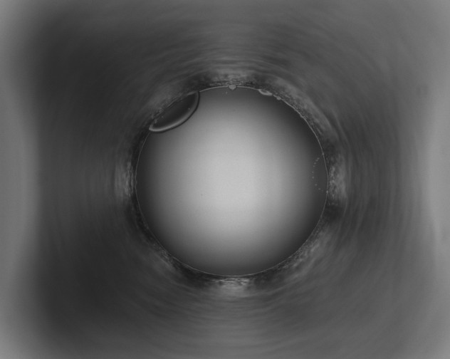 X0000102360474200808011456