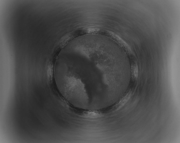 X0000102360475200808011456