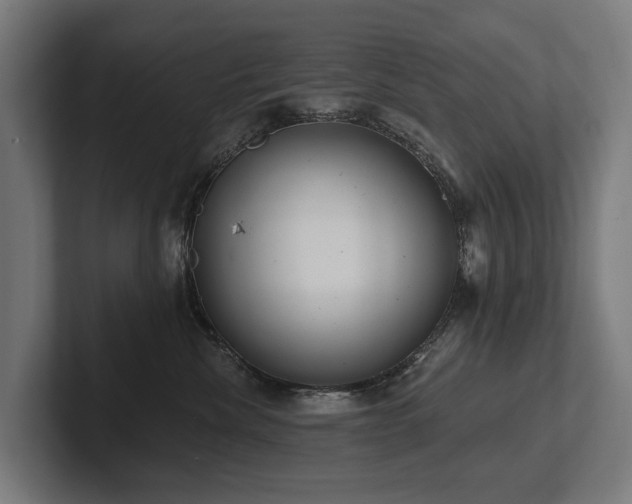 X0000102360476200808011456