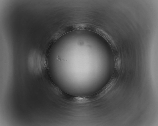 X0000102360477200808011456