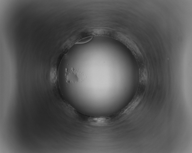 X0000102360478200808011456