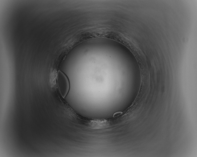 X0000102360480200808011456