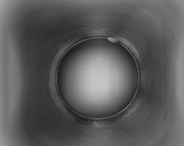 X0000102360481200808011456
