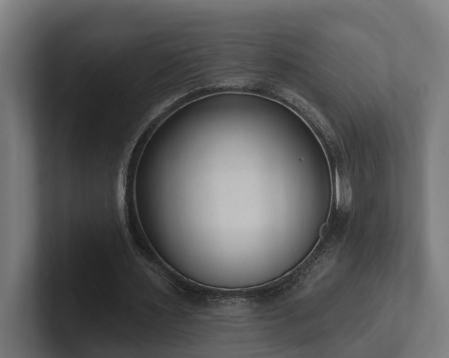 X0000102360483200808011456