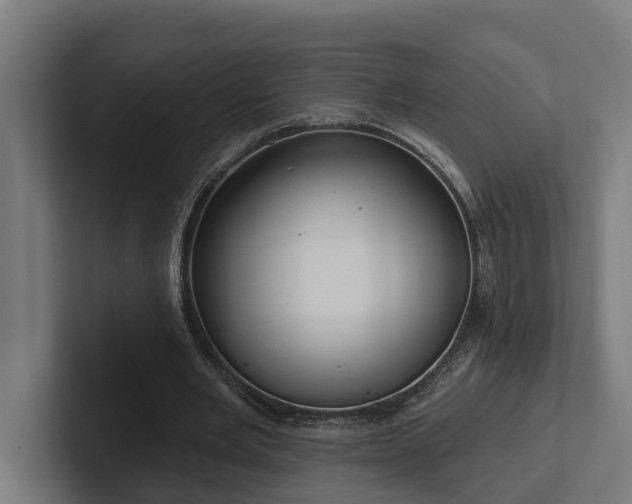 X0000102360485200808011456