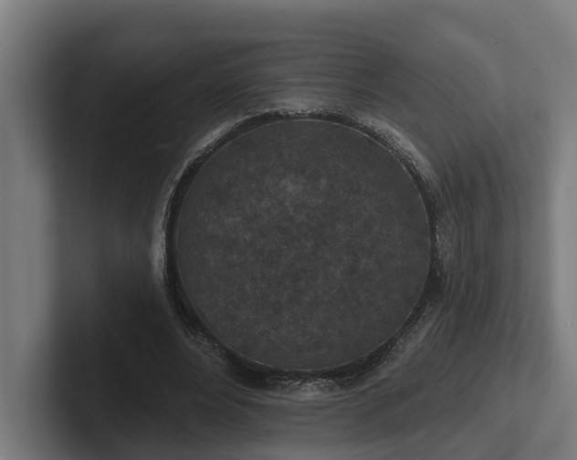 X0000102360488200808011455
