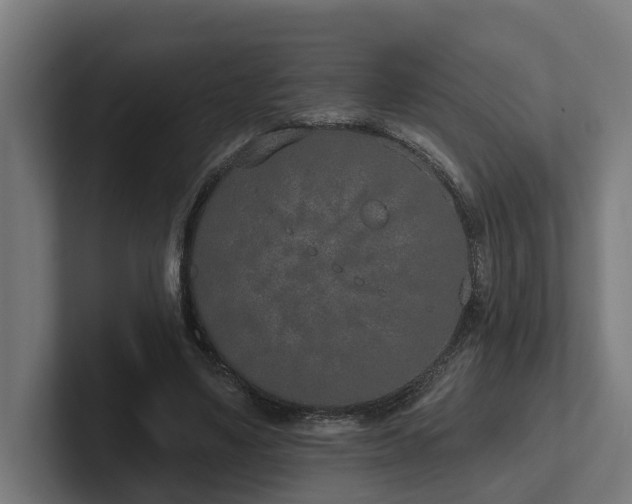 X0000102360491200808011455