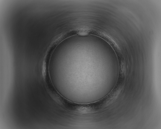 X0000102360494200808011455