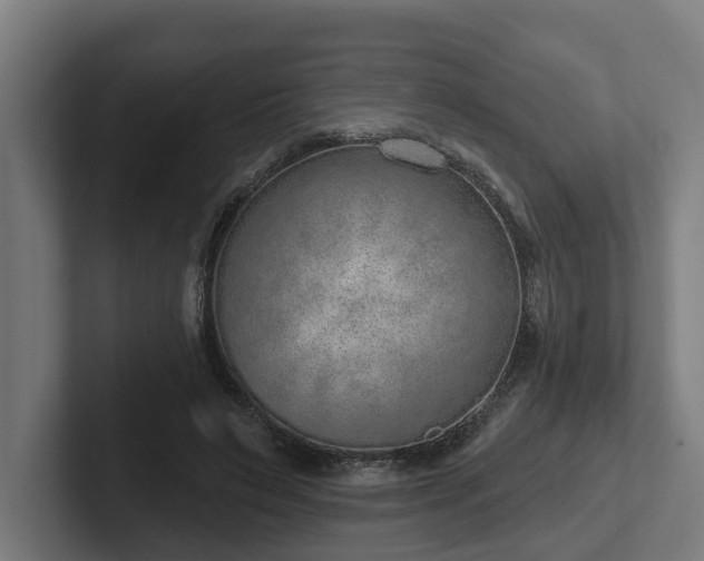 X0000102360495200808011455