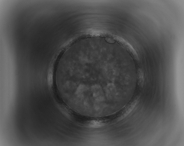 X0000102360496200808011455