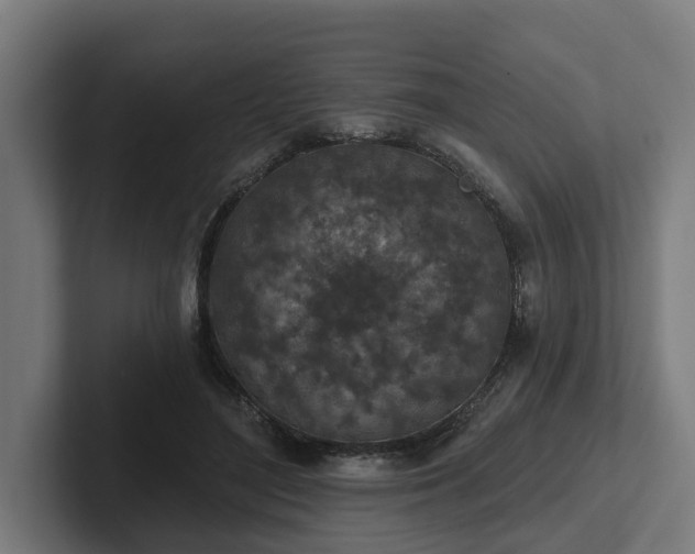 X0000102360500200808011455