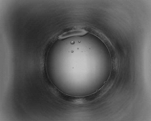 X0000102360505200808011455