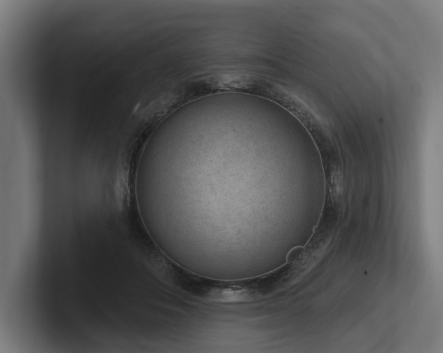 X0000102360506200808011455