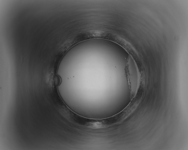 X0000102360509200808011455