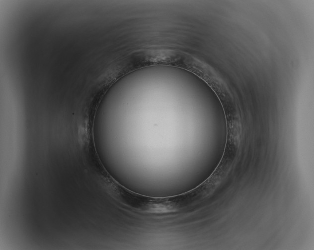 X0000102360510200808011455