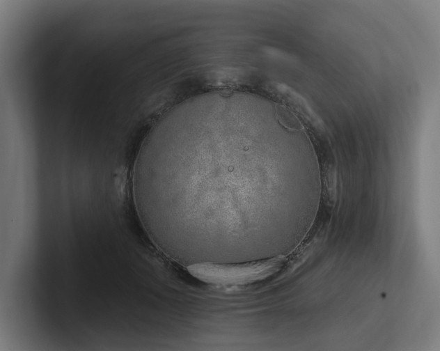 X0000102360511200808011455
