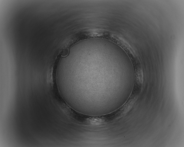 X0000102360512200808011455