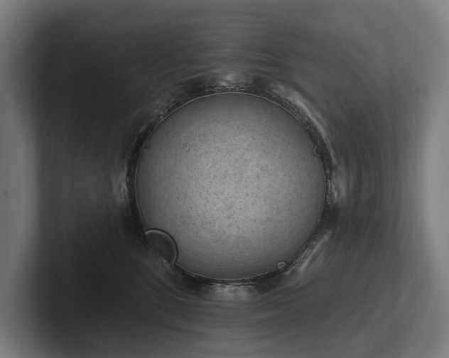 X0000102360520200808011455