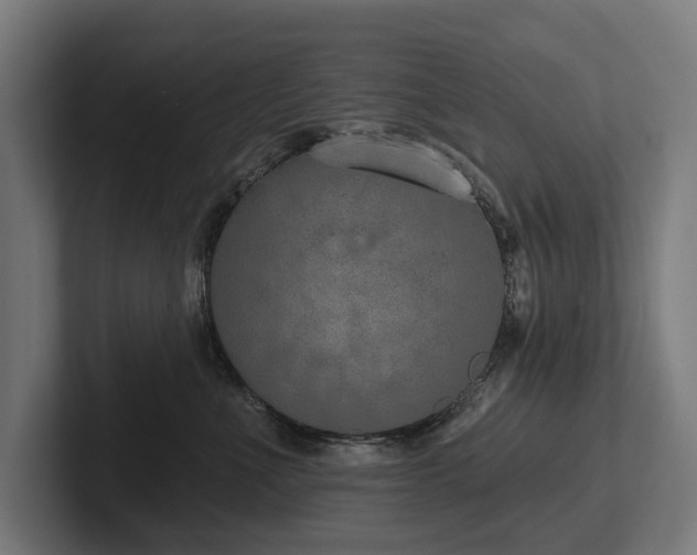 X0000102360523200808011455