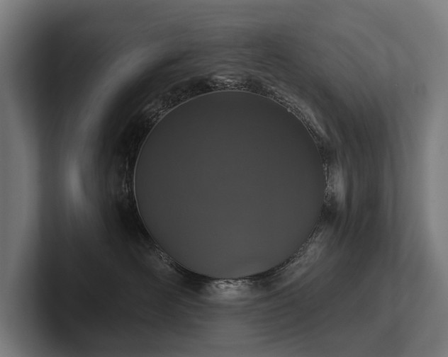 X0000102360526200808011455
