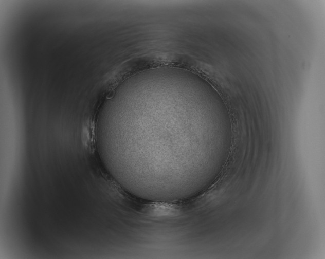 X0000102360528200808011455