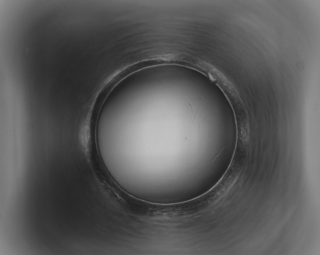 X0000102360532200808011454