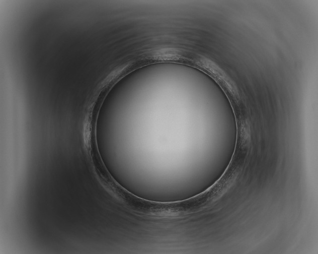 X0000102360533200808011454