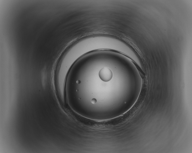 X0000102360534200808011454
