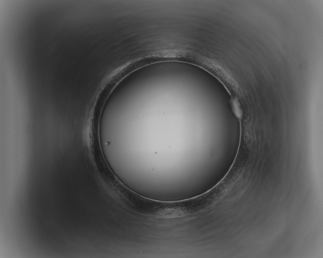 X0000102360536200808011454