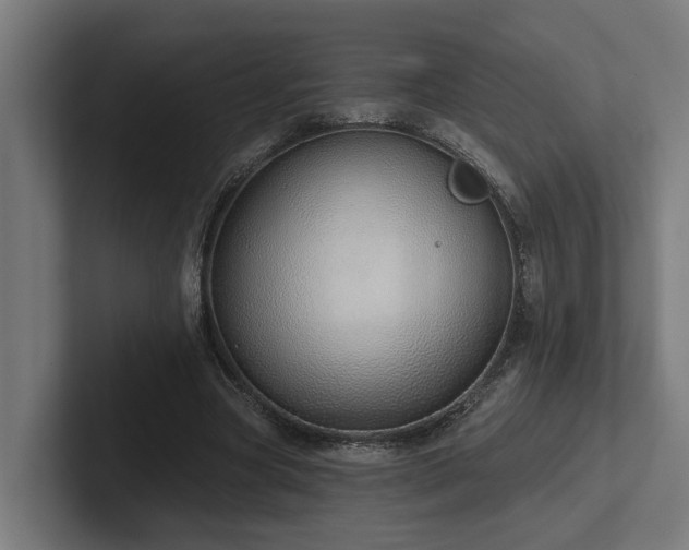 X0000102360537200808011454