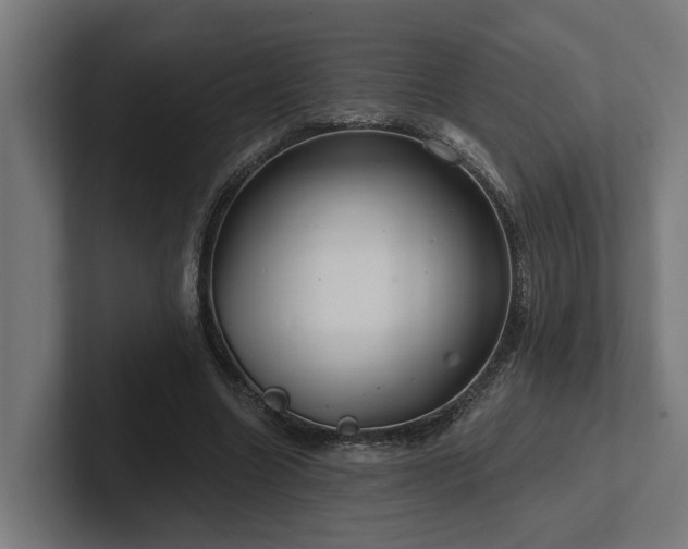 X0000102360538200808011454