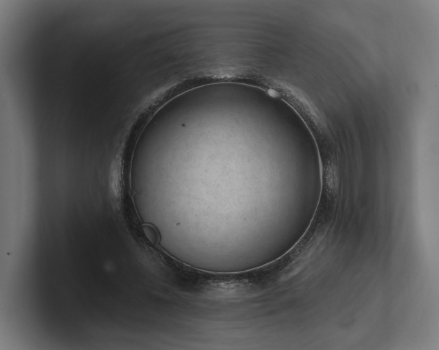 X0000102360540200808011454