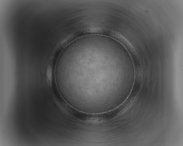 X0000102360542200808011454