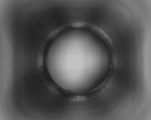 X0000102360543200808011454