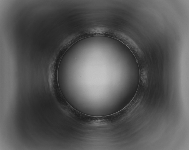 X0000102360544200808011454