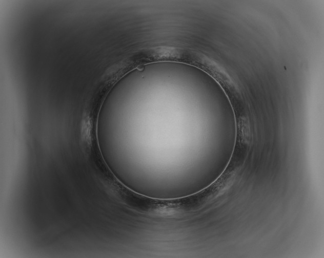 X0000102360550200808011455