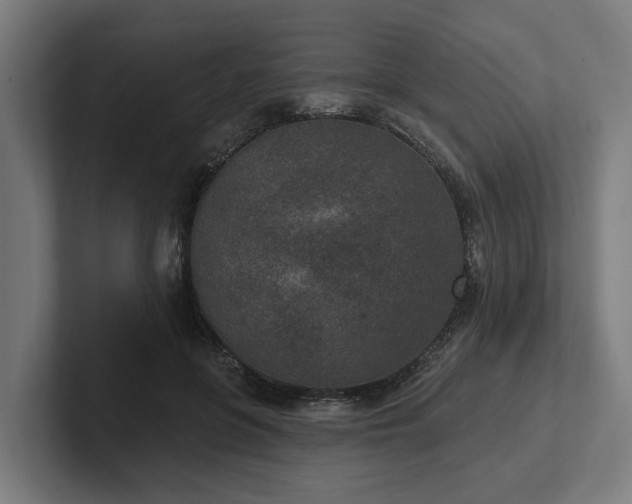 X0000102360551200808011455