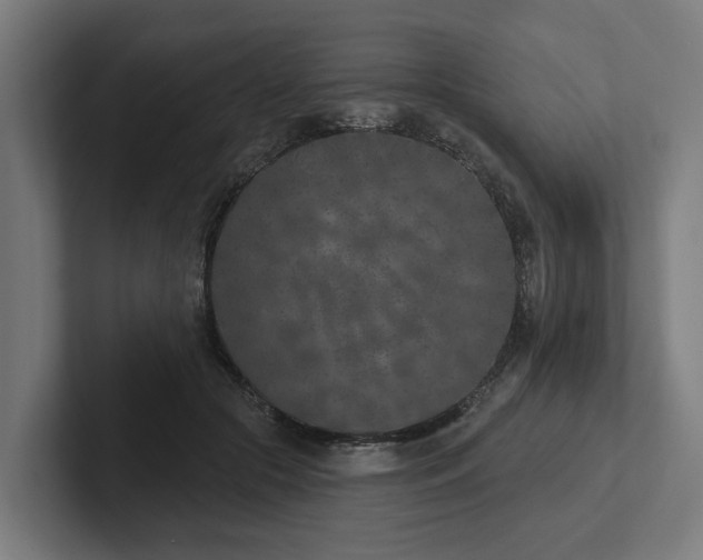X0000102360553200808011455