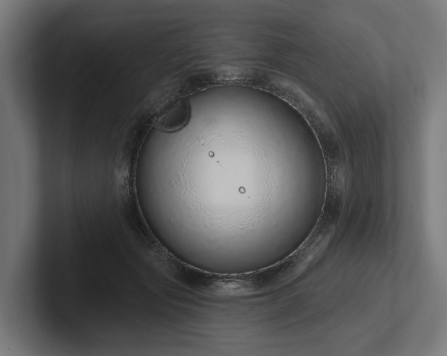 X0000102360557200808011455