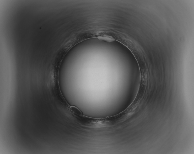 X0000102360558200808011455