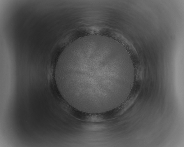X0000102360561200808011455
