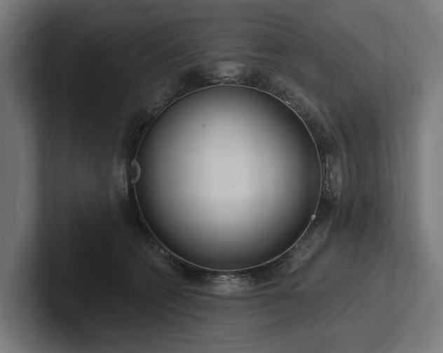 X0000102360562200808011455