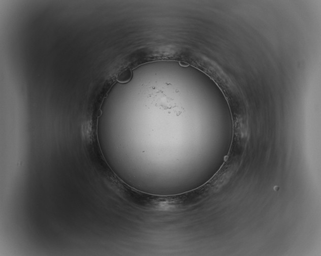 X0000102360564200808011455