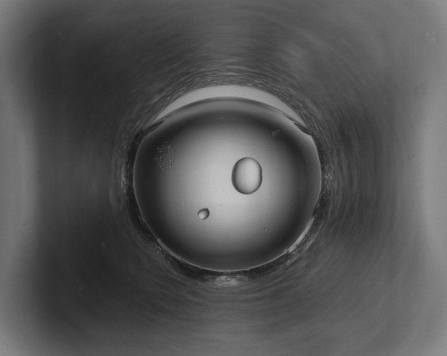 X0000102360566200808011455