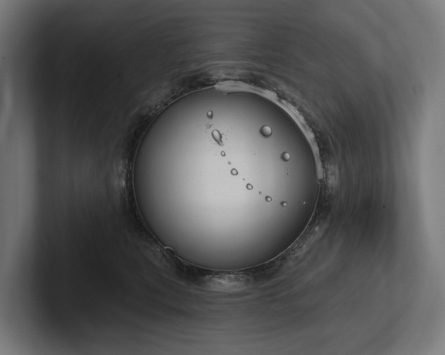 X0000102360567200808011455